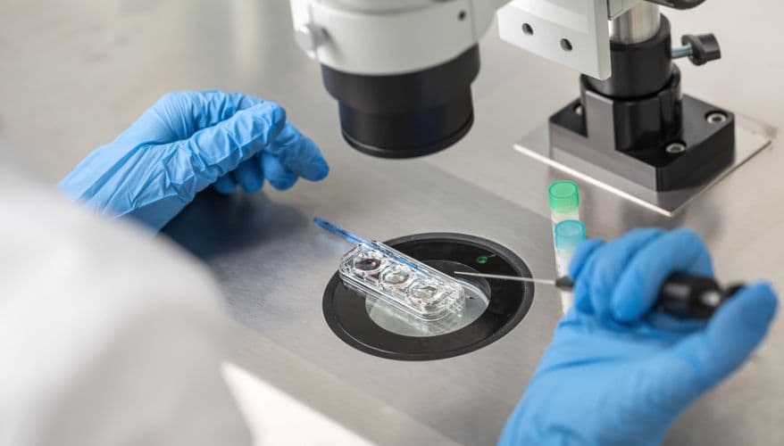 Gentle IVF care